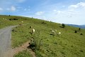 (220) Col d'Aphanize